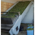 Máquina de secagem de cânhamo de ervas